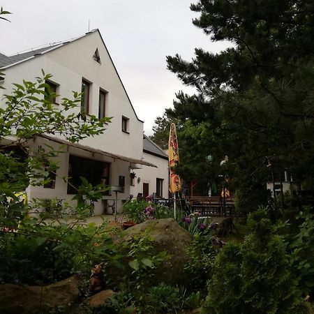 Hotel Kamenny Vrch Chomutov Esterno foto